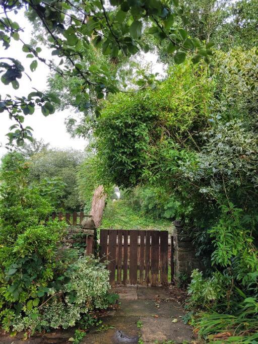 Riverside Bungalow - Direct River Access! Ystradgynlais Buitenkant foto